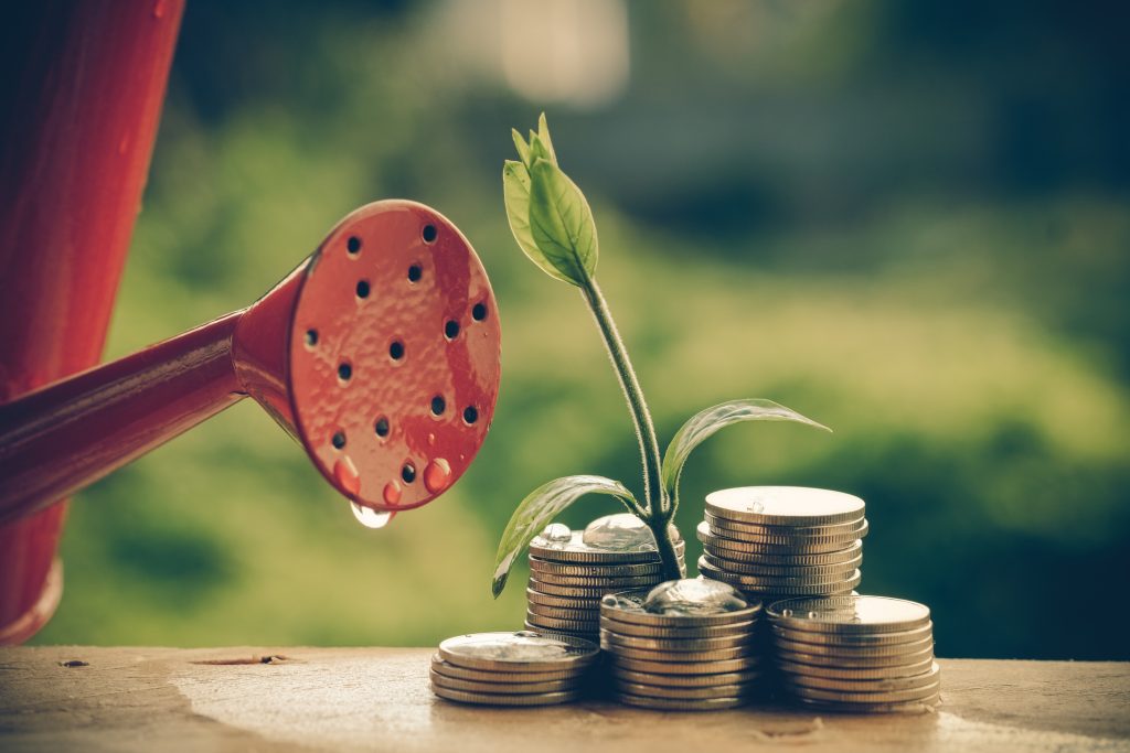 Fundraising Strategy